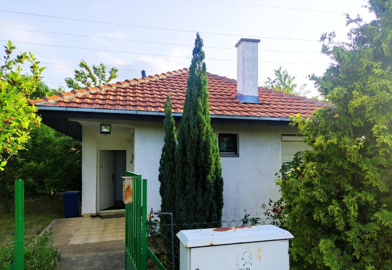 Вилла Cozy House Cvetkovic Ниш Экстерьер фото