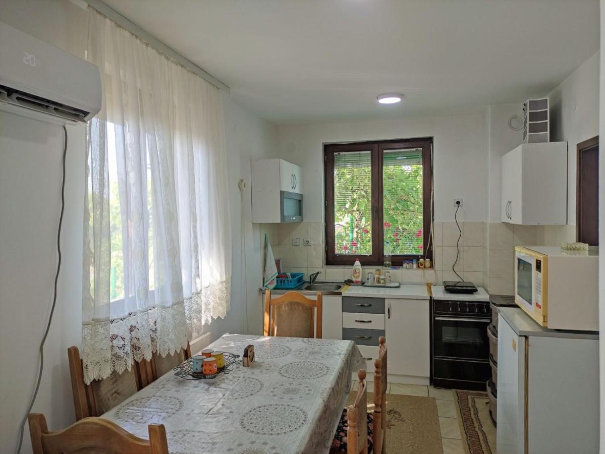 Вилла Cozy House Cvetkovic Ниш Экстерьер фото